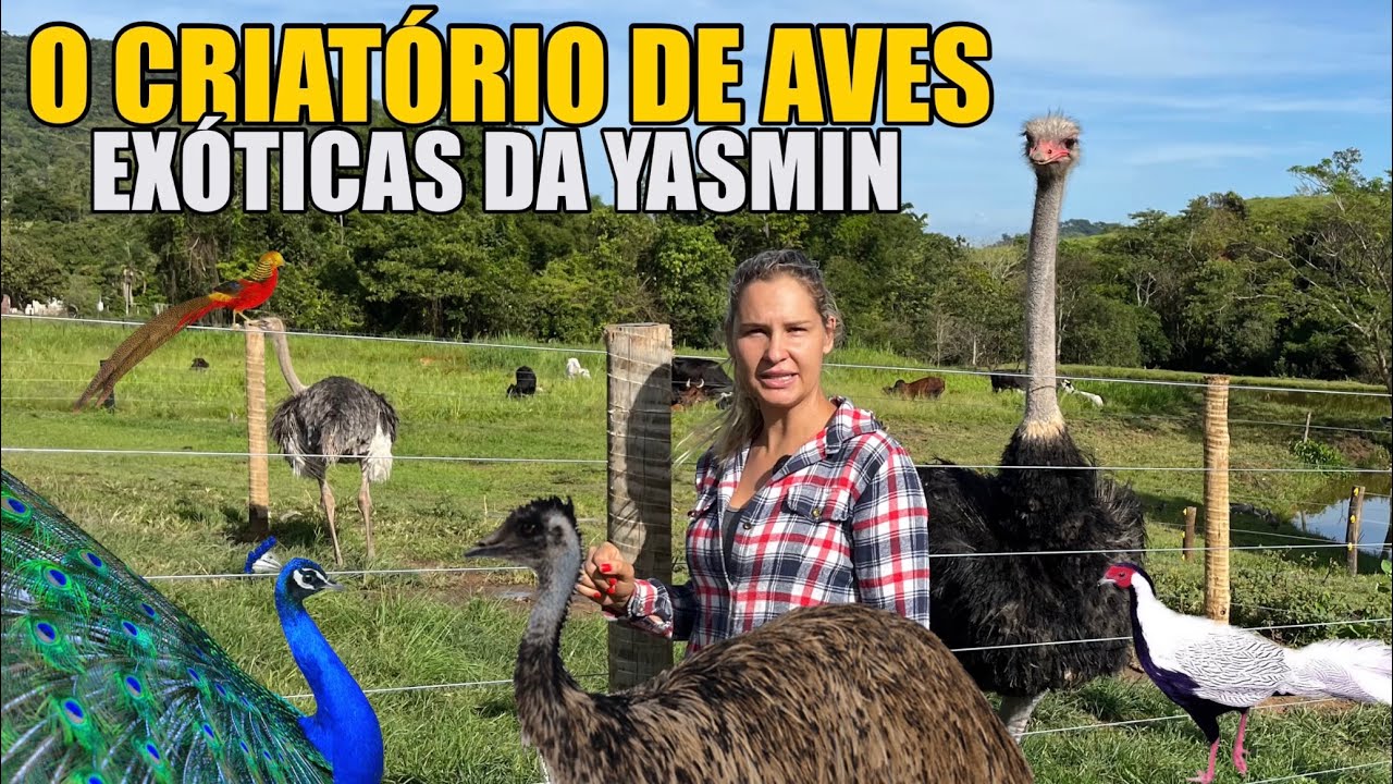 SITIO MODELO PARA PEQUENOS PRODUTORES