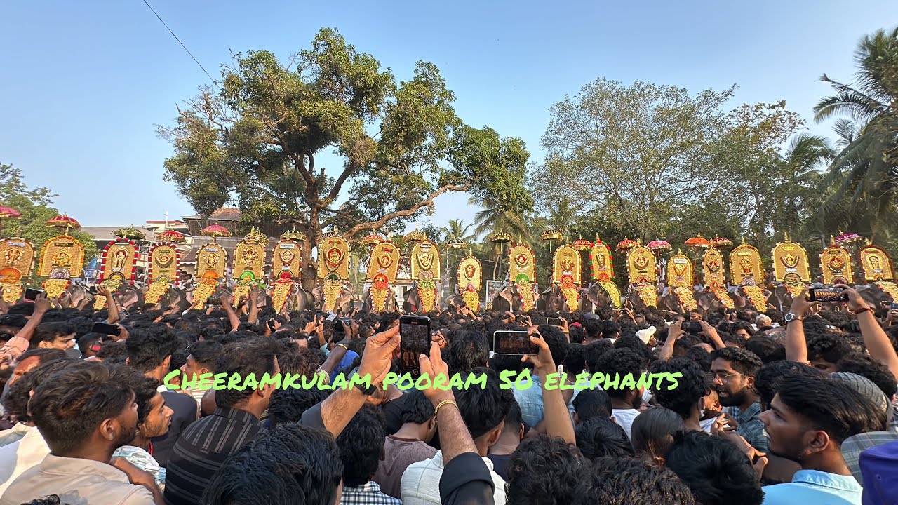അമ്പതു ഗജവീരന്മാർ അണിനിരന്ന ചീരംകുളം പൂരം 50 Elephants in cheeramkulam Pooram ്