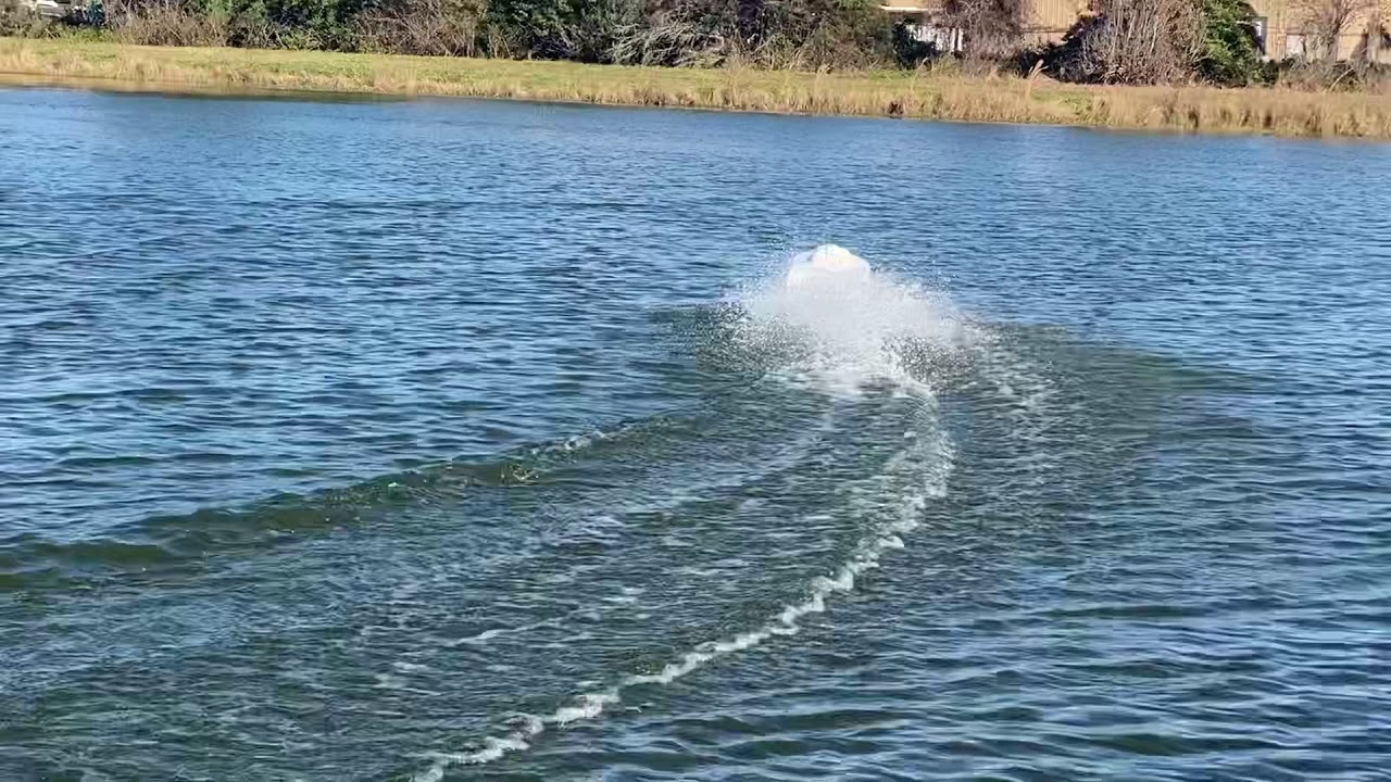 MHZ No mercy 62” inch RC boat arrow shark remote starter Bonzi Sports new clutch & gearbox twin mod4