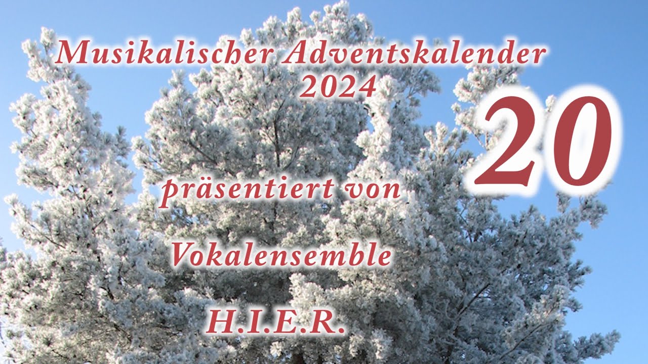 Hymne an die Nacht | #20 | Vokalensemble H.I.E.R. | Musikalischer Adventskalender 2024