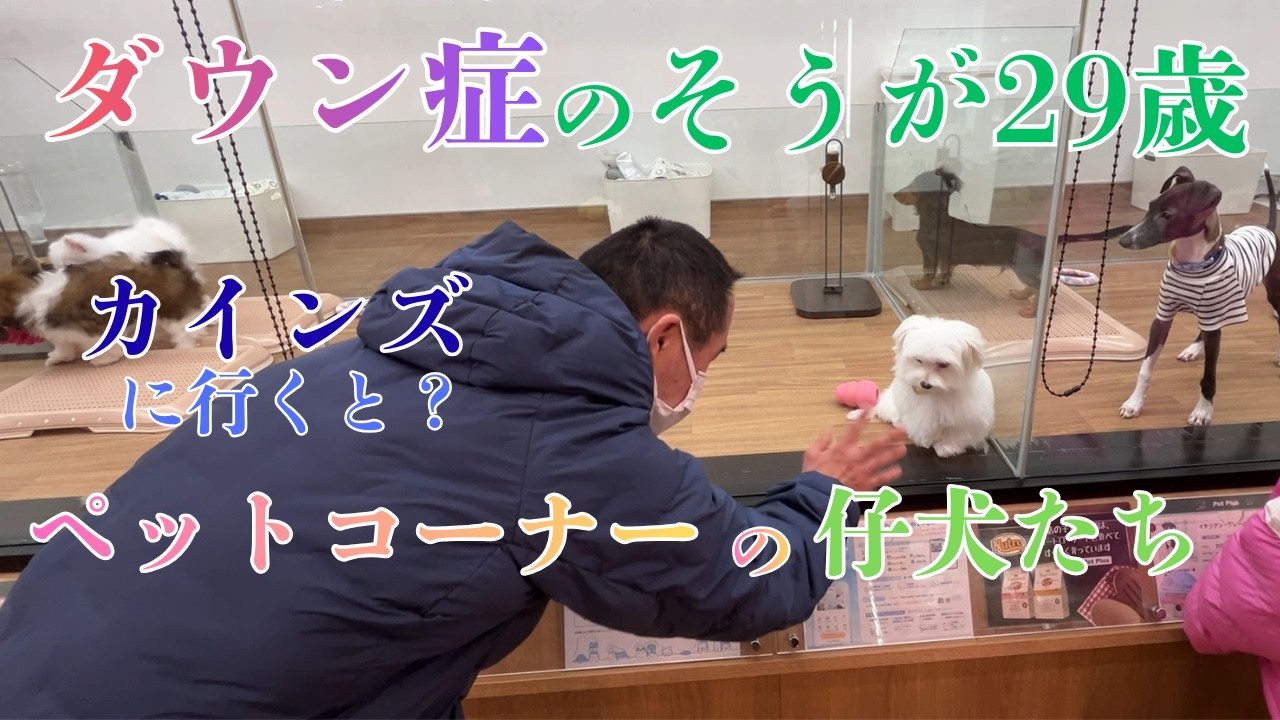 ダウン症の息子29歳がカインズに行くと？ | My 29-Year-Old Son with Down Syndrome at a Home Center
