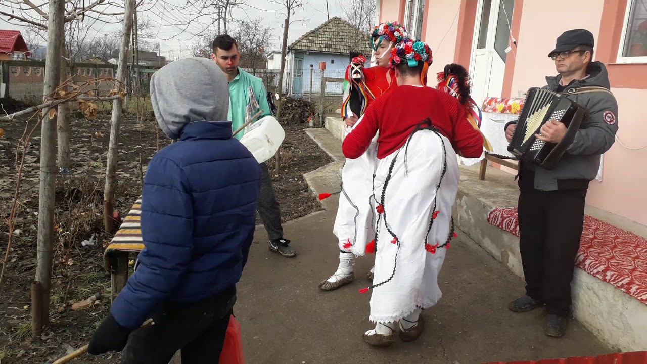 Căiuții din Sârbi