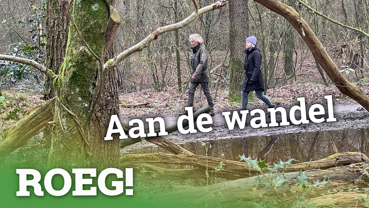 Voorjaar op 't Dwingelderveld | ROEG! uitzending