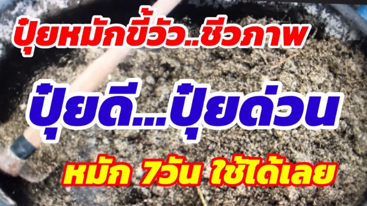219/ ปุ๋ยหมักขี้วัวชีวภาพปุ๋ยดี ปุ๋ยด่วนหมักแค่ 7 วันใช้ได้เลย มีไนโตรเจนสูง ช่วยเร่งการเจริญเติมโต