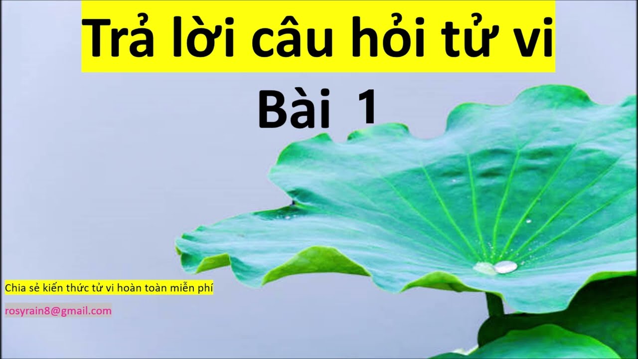 Trả lời câu hỏi tử vi Bài 1 - Vô chính diệu, lộc tồn, Hỏa tinh , linh tinh, Thiên Lương tại Tí