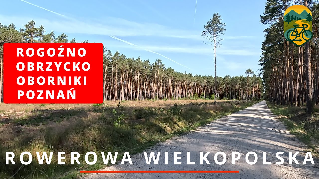 100 km przez Puszczę Notecką – gravelowa trasa z Rogoźna do Poznania