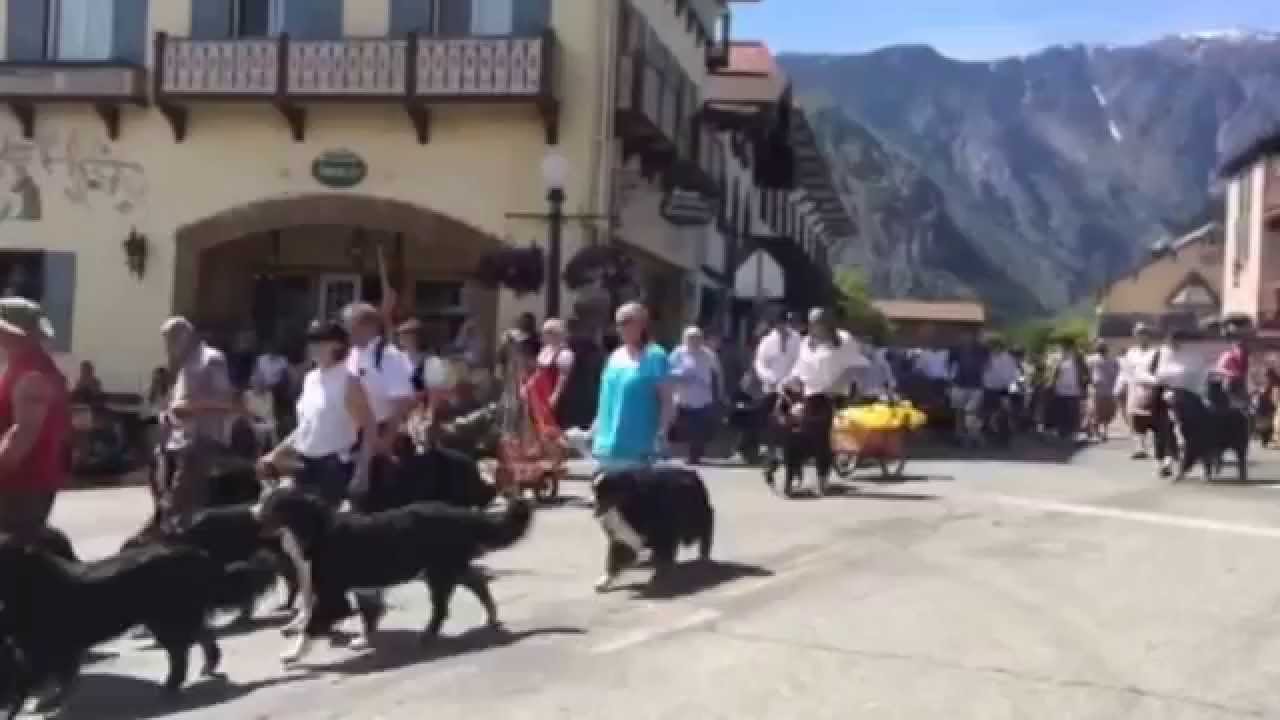 Maifest Parade 2015 - Leavenworth, WA
