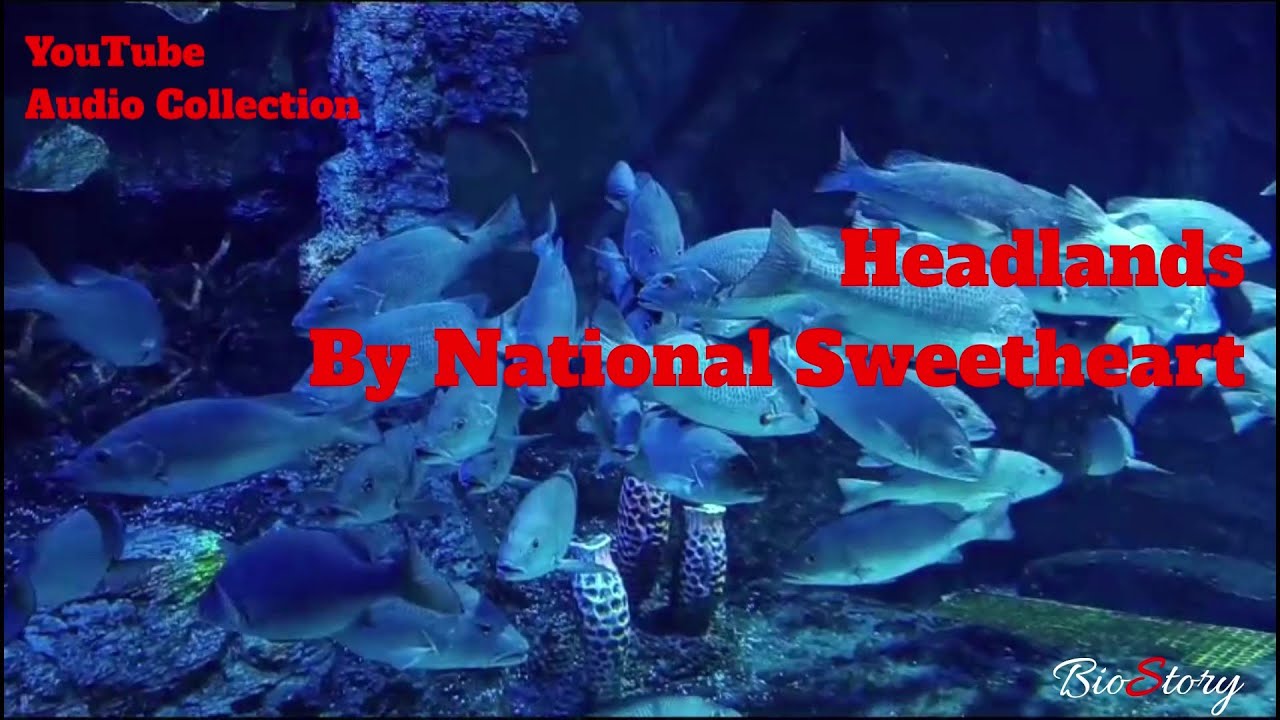 Headlands By National Sweetheart [Royalty Free Music]
