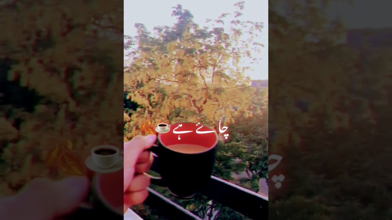 Chai Shayari Status For WhatsApp || ,2 Line Urdu Poetry Status || Tea Poetry in Urdu || YTShorts