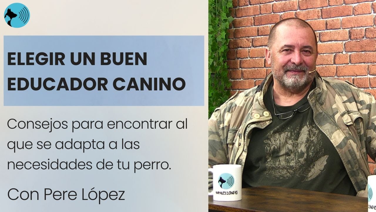 EL EDUCADOR CANINO, ¿QUÉ REQUISITOS HA DE TENER?