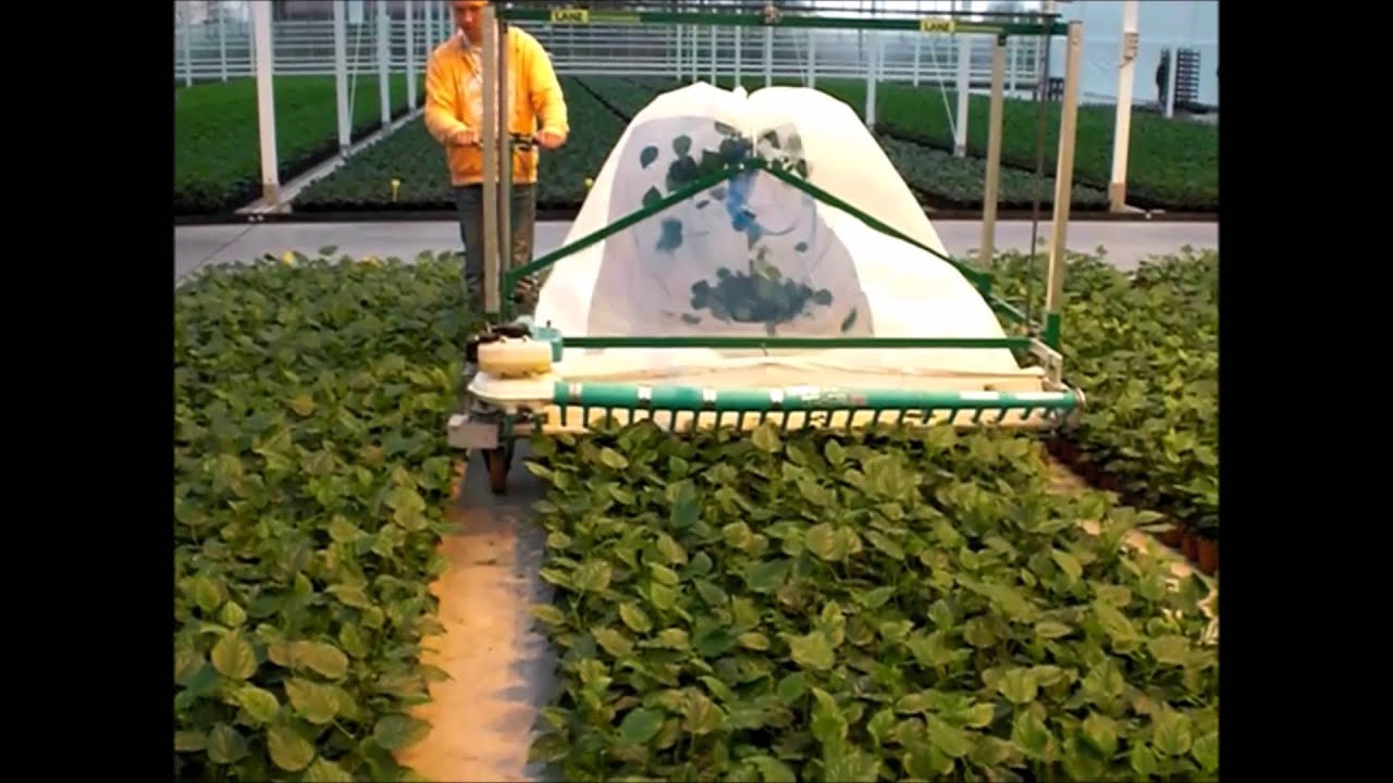 HortiHands EazyCut 1200 & 1600