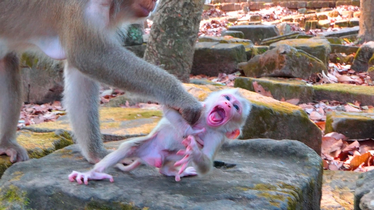 She always coaches her son every day