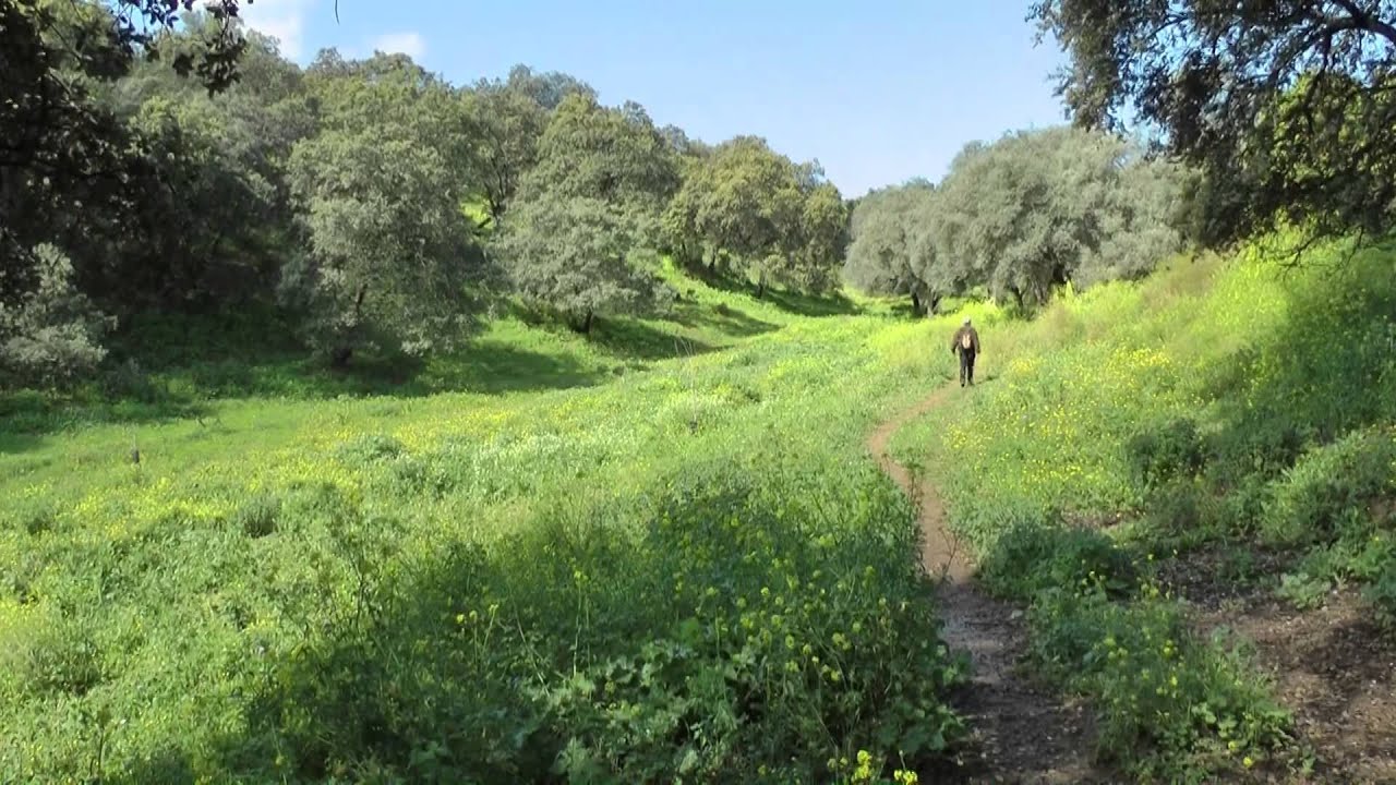 PASEOS POR ADAMUZ   RUTA DEL AGUA
