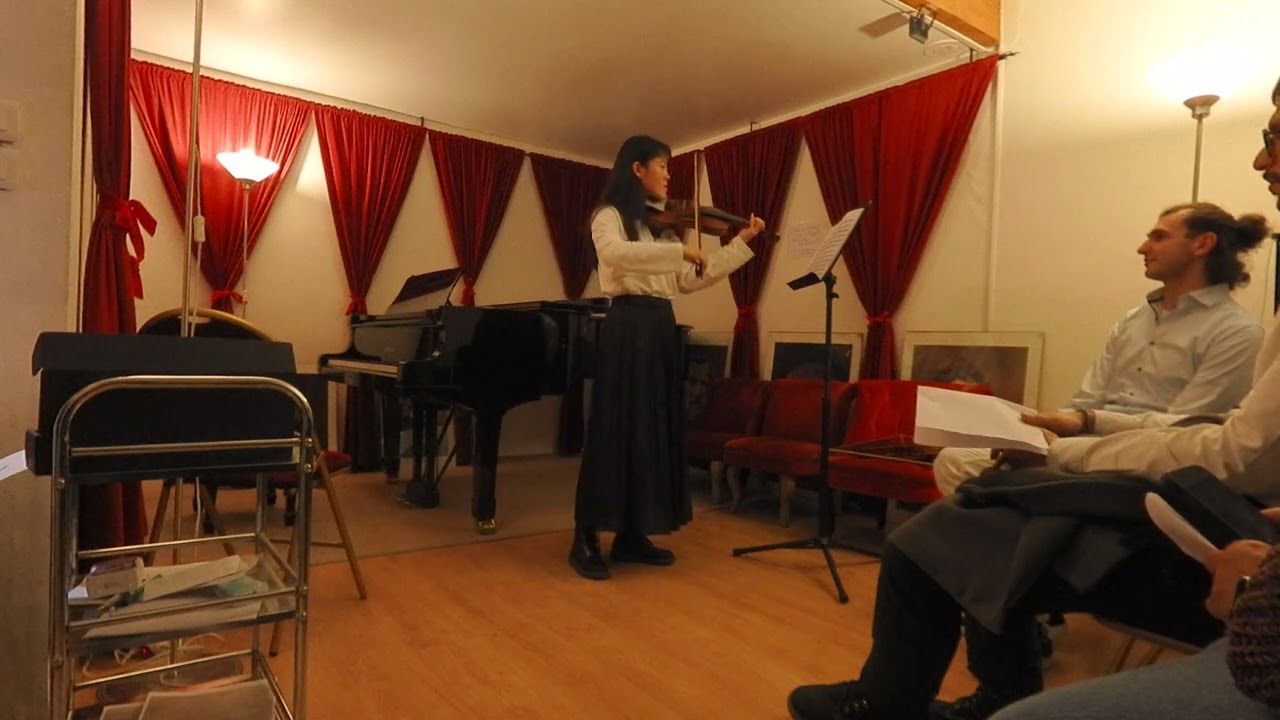 2 Year Adult Beginner  - Violin Performance - Telemann’s Fantasia No. 9