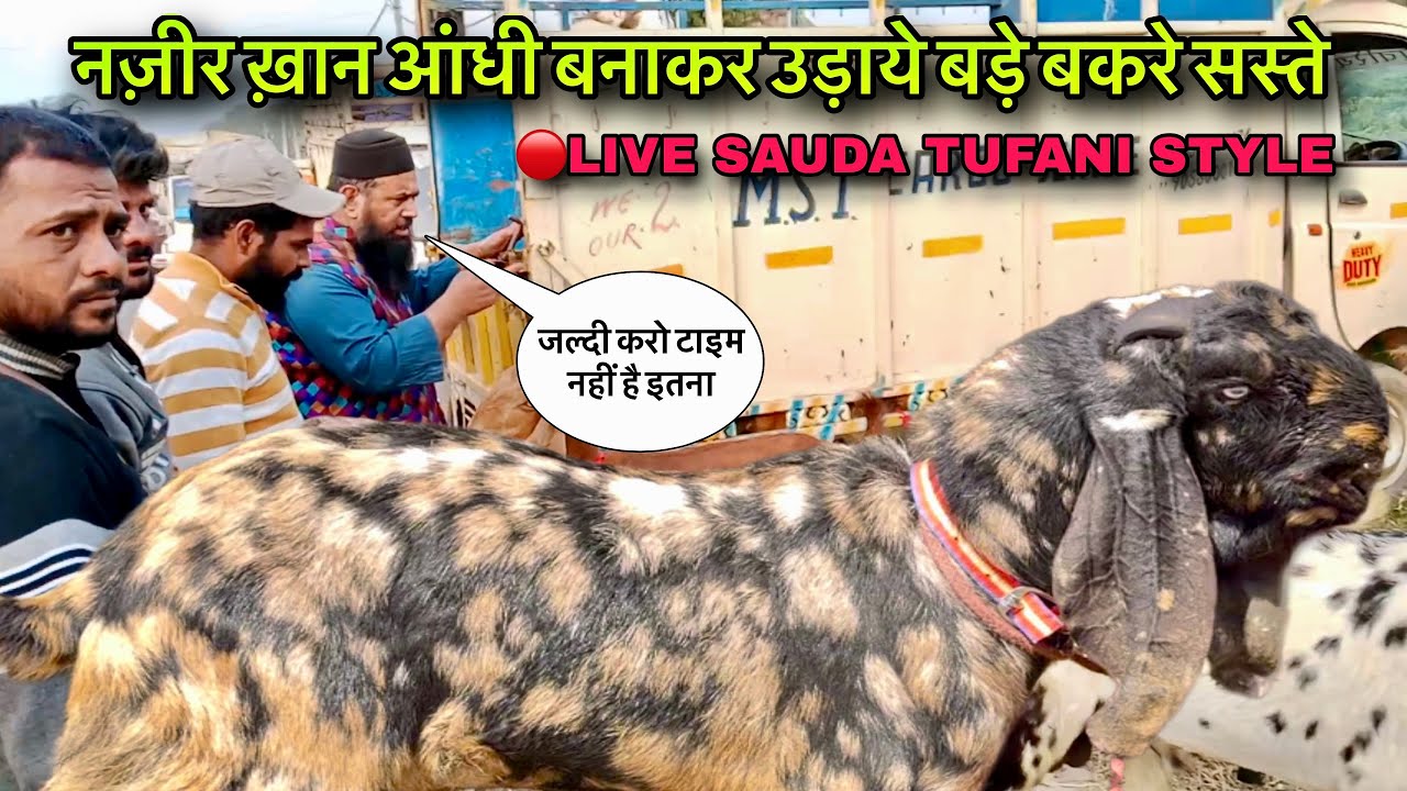 नज़ीर ख़ान आंधी बनाकर उड़ाये बड़े बकरे सस्ते @farmingbaba #live_sauda tufani style goat market