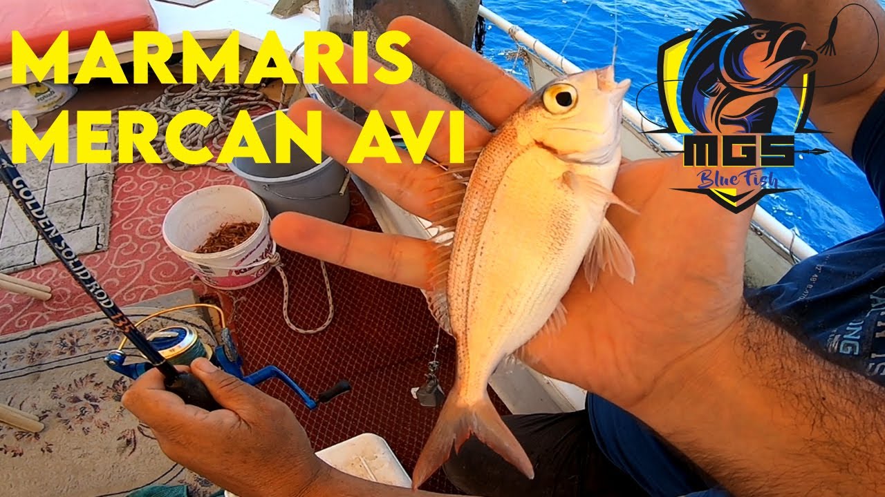 Muğla Marmaris Tekne Turu - Balık Avı - Turunç Açıklarında Mercan Yakaladık