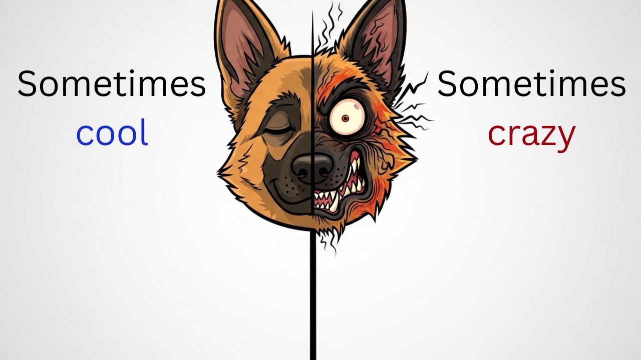 The Psychology of A German Shepherd