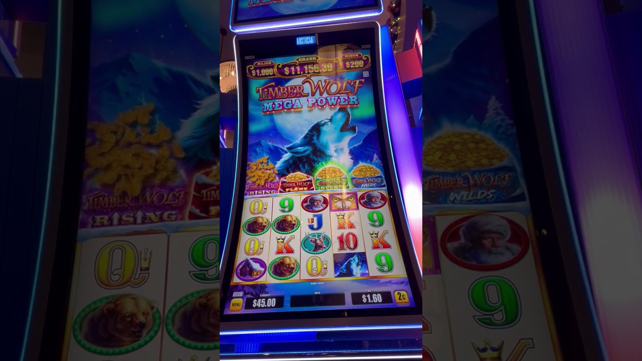 Timber Wolf Mega Power #slot #jackpotofthemonth #casino #slotmachine #jackpot #bonus #bigwin 