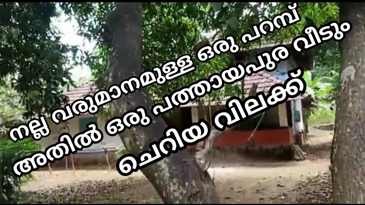 നല്ല വരുമാനമുള്ള ഒരു പറമ്പ് അതിൽ ഒരു ഓട് വീടും ചെറിയ വിലക്ക് വിൽപ്പനക്ക് a house &plot redy for sale