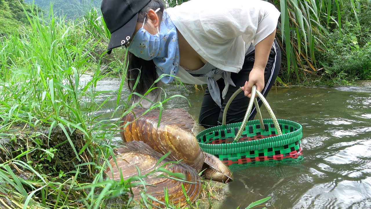 🥰The Wild Treasure of the Mutant Clam: A Teenage Girl's Incredible Discovery of Riches