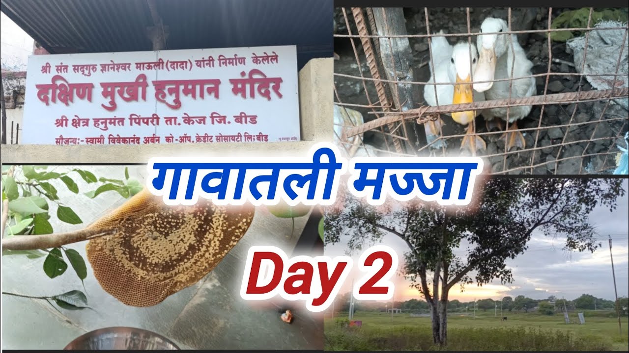 ही मज्जा फक्त गावाकडेच |दक्षिण मुखी हनुमान मंदिर|animals | day 2 #vlog11