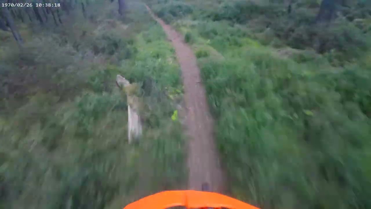 Oakwoods An old oakies video I forgot I had #mtb #emtb #zesty #old #enduro #cycling #scotland #bike