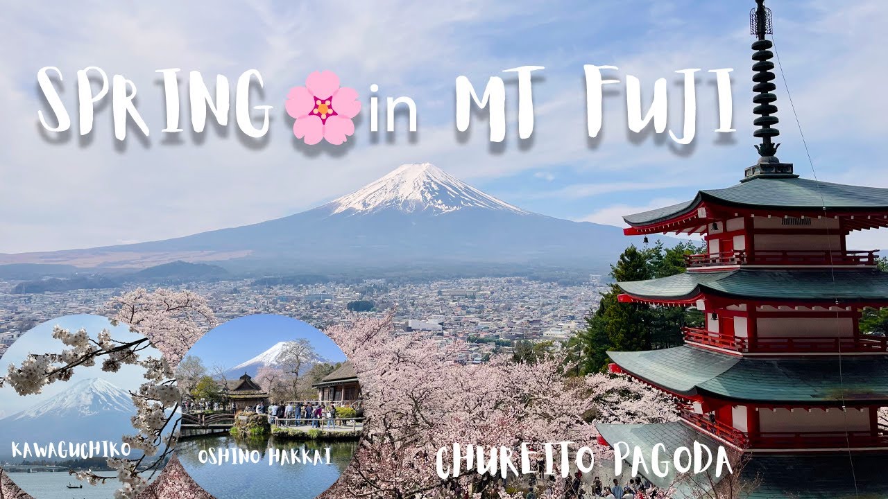 Breathtaking Mt. Fuji in Spring: 2 Day Fujikawaguchiko Guide