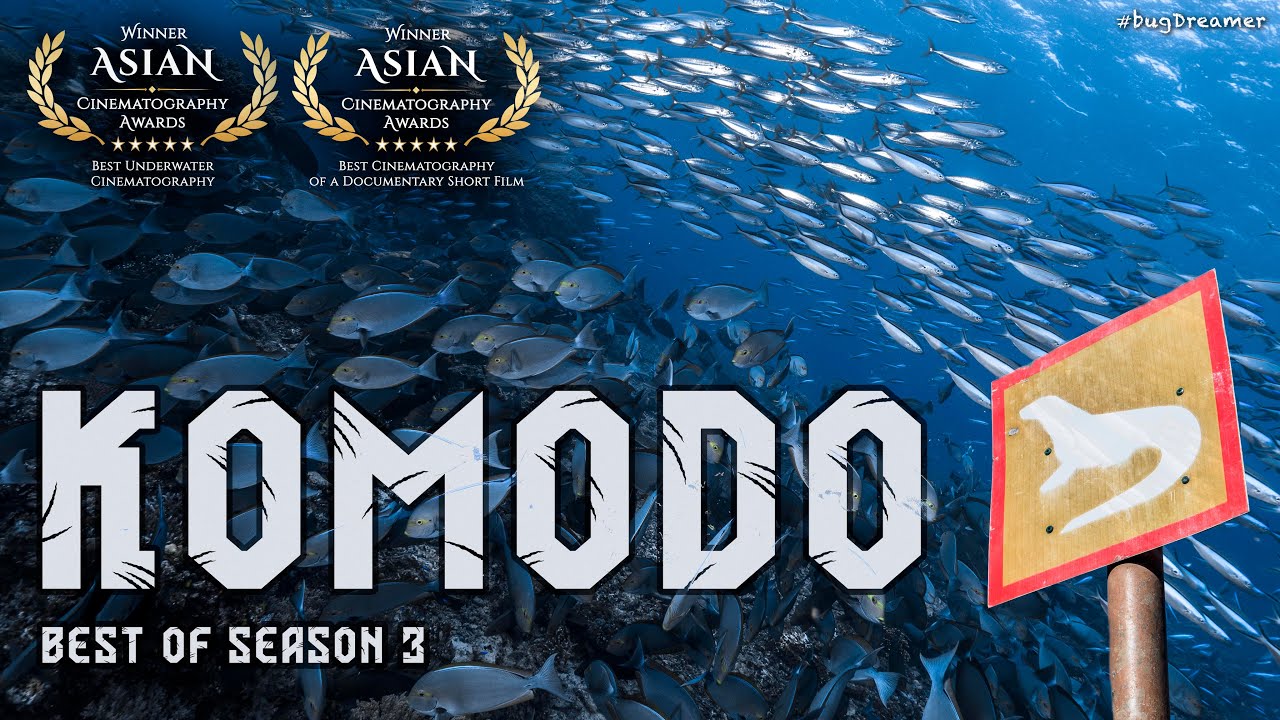 KOMODO DIVING | Best of Season 3 (Award Winning Video)