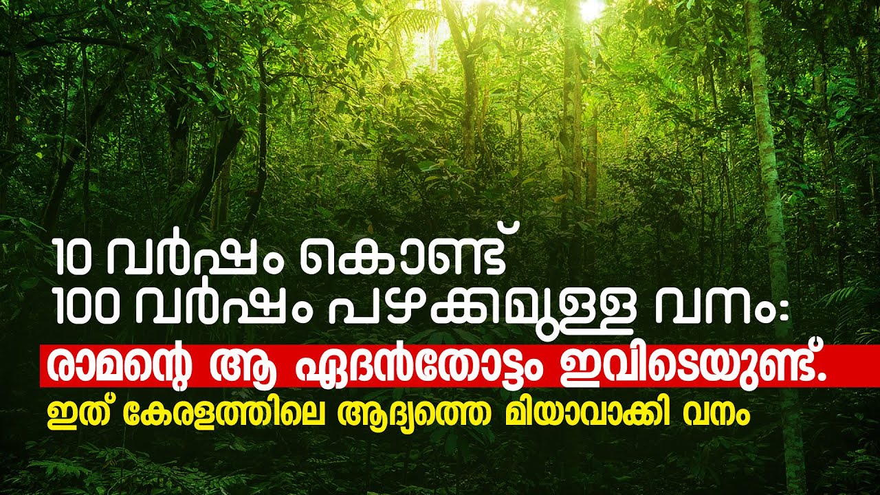 രാമന്റെ ആ ഏദൻതോട്ടം ഇവിടെയുണ്ട്‌. ഇത്‌ കേരളത്തിലെ ആദ്യത്തെ മിയാവാക്കി വനം | Miyawaki Trivandrum