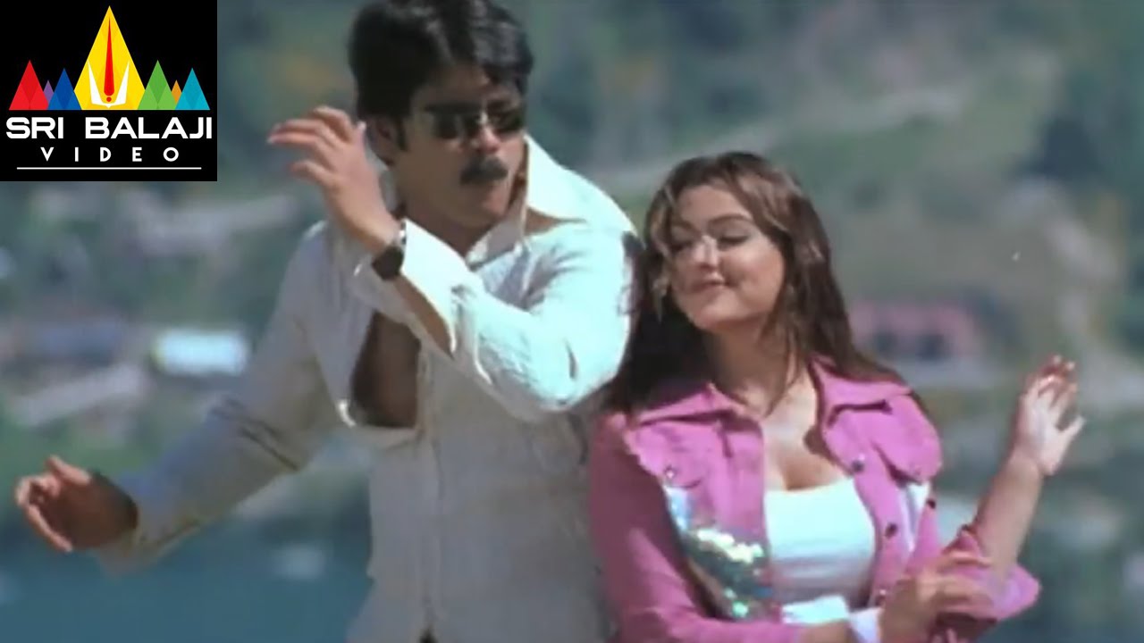 Nenunnanu Songs | Intha Dooramochaka Video Song | Nagarjuna, Aarti Aggarwal | Sri Balaji Video