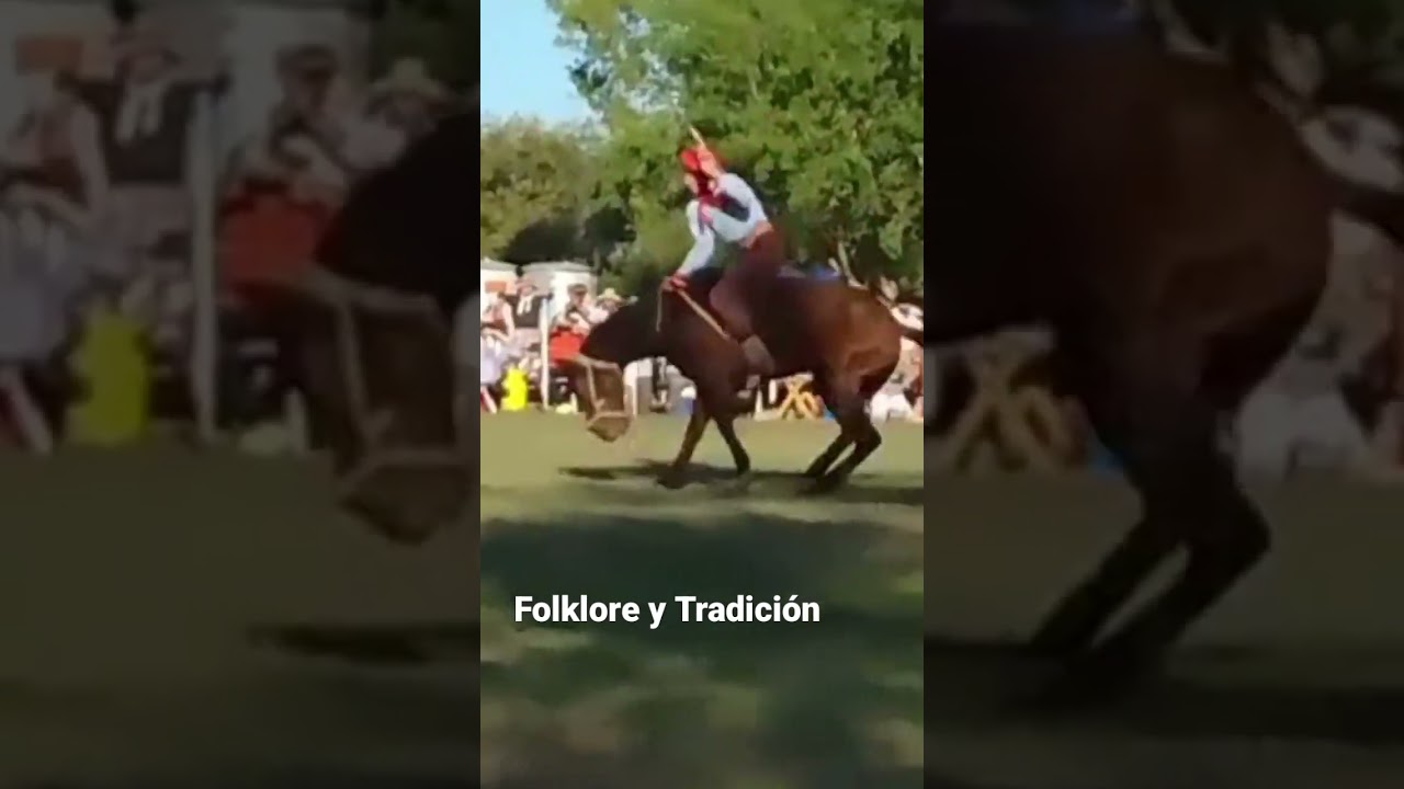 El Gran Ricardo Pucheta