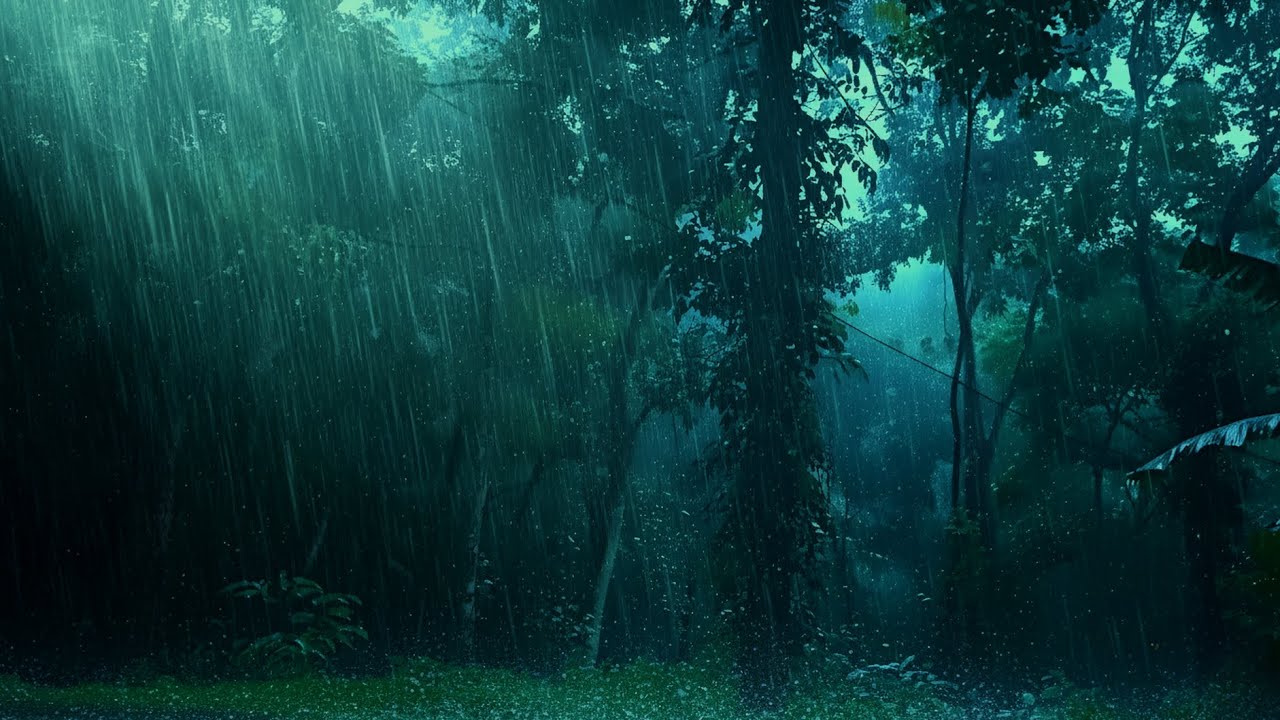 Tropical Rainforest at Night 🌧️ | Rain Sounds for Sleep, Study, Focus | 10 Hours