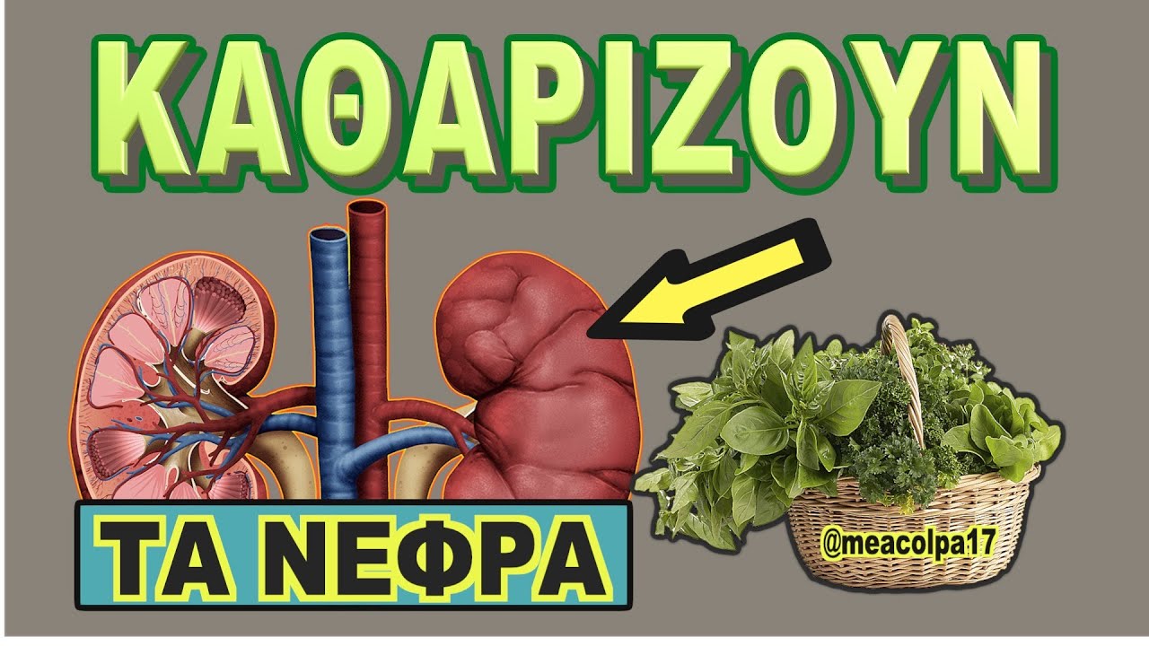 10 &Beta;ό&tau;&alpha;&nu;&alpha; &Pi;&omicron;&upsilon; &Kappa;&alpha;&theta;&alpha;&rho;ί&zeta;&omicron;&upsilon;&nu; &Tau;&alpha; &nu;&epsilon;&phi;&rho;ά - &Mu;&epsilon; &Sigma;&upsilon;&nu;&tau;&alpha;&gamma;έ&sigmaf;