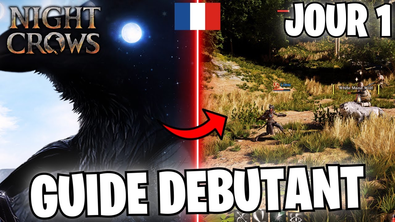 NIGHT CROWS GUIDE DEBUTANT JOUR 1 - NOUVEAU CODE ET ASTUCES! NOUVEAU JEU MMORPG PC & MOBILE F2P!