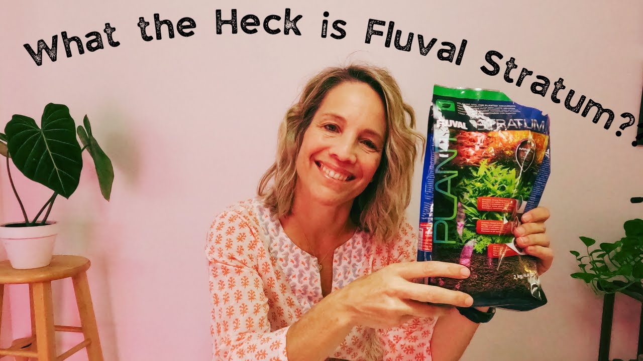 What the Heck is Fluval Stratum and Why is it MAGIC for Propping?? #2