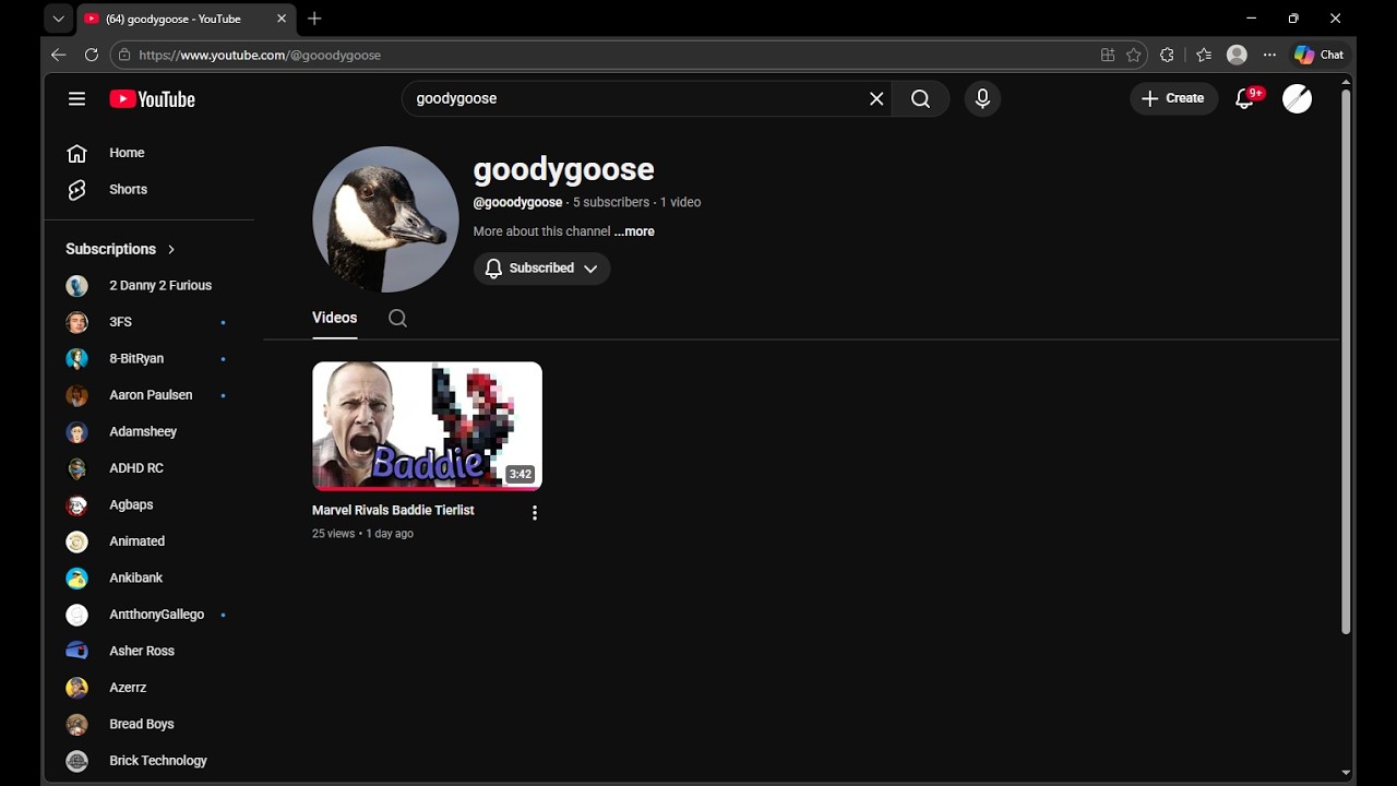 What even is this video...