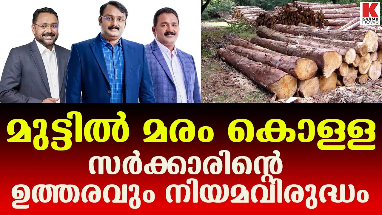 മുട്ടിൽ മരം മുറി, പ്രതികൾക്കും സർക്കാരിനും എതിരേ കോടതി