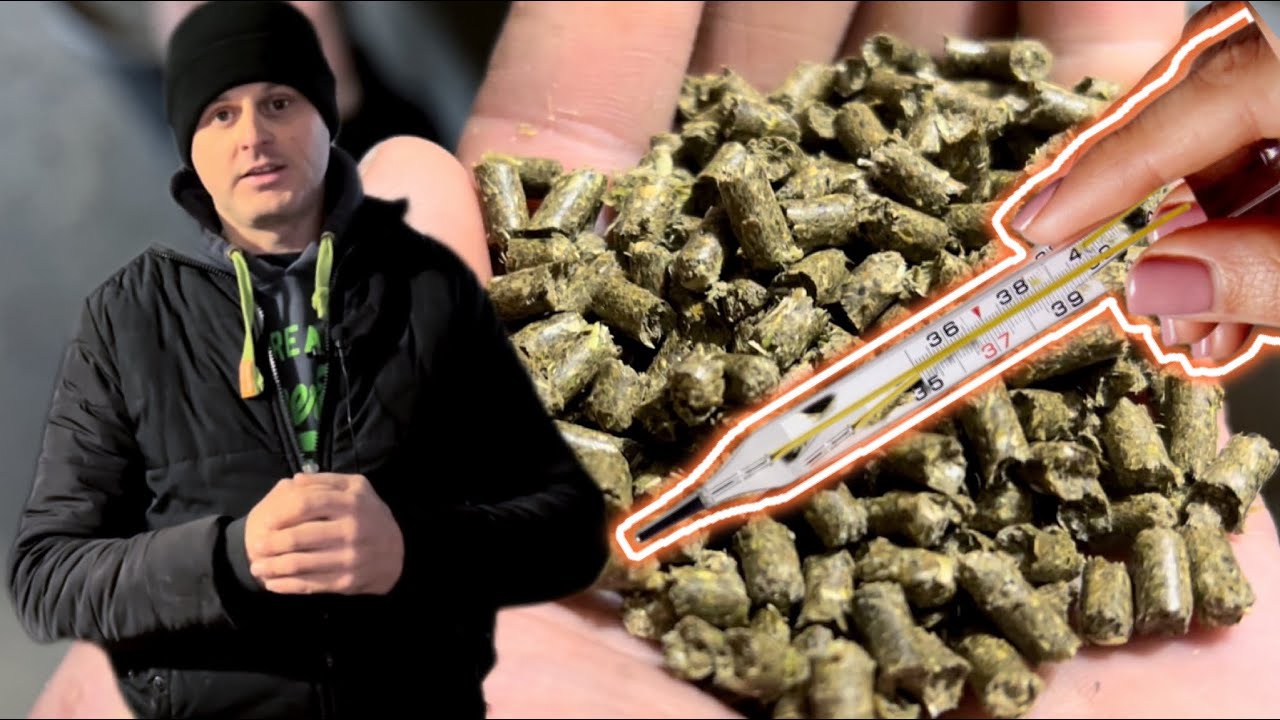 Яку температуру гранули видає мій гранулятор⁉️ Згоряє ВСЕ🙀