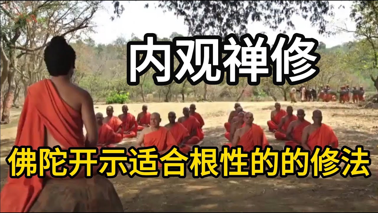 内观第六期：佛陀开示适合根性的修法 【显密法缘】 【显密法缘】