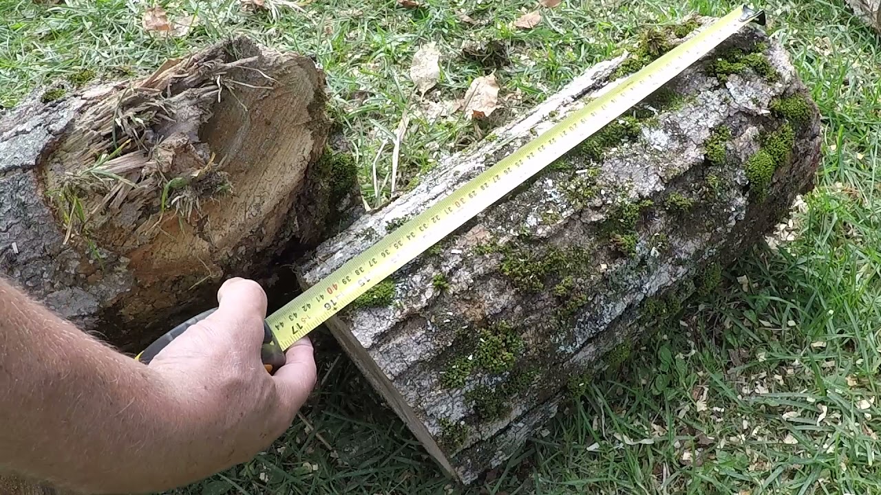 473 Firewood ProSizer - Laser Fire Wood Marker. One month Review. outdoors