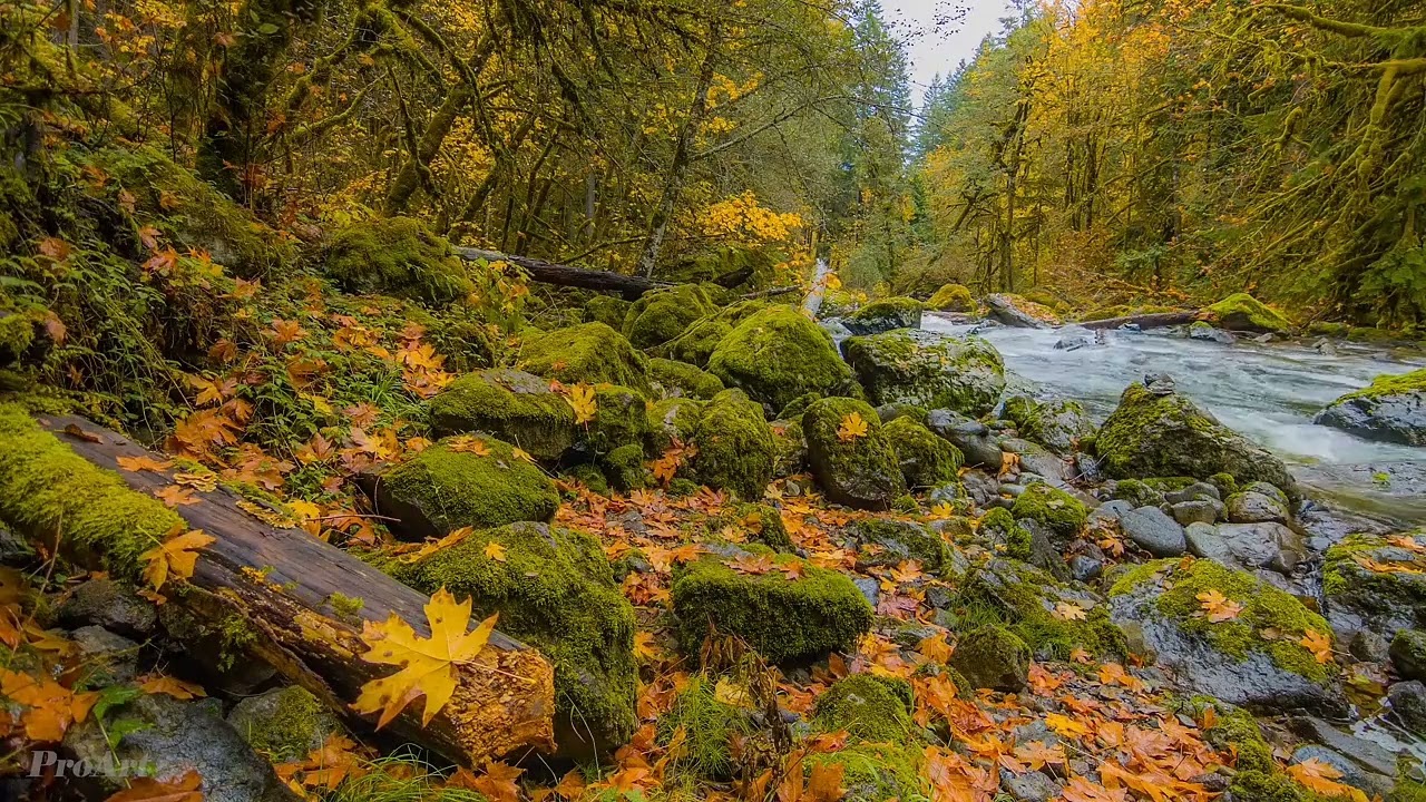 IMAM MOHAMED CAMARA TAFSIR MALINKÉ SOURATE 22 ( HAJJ ) V18 À 24 .