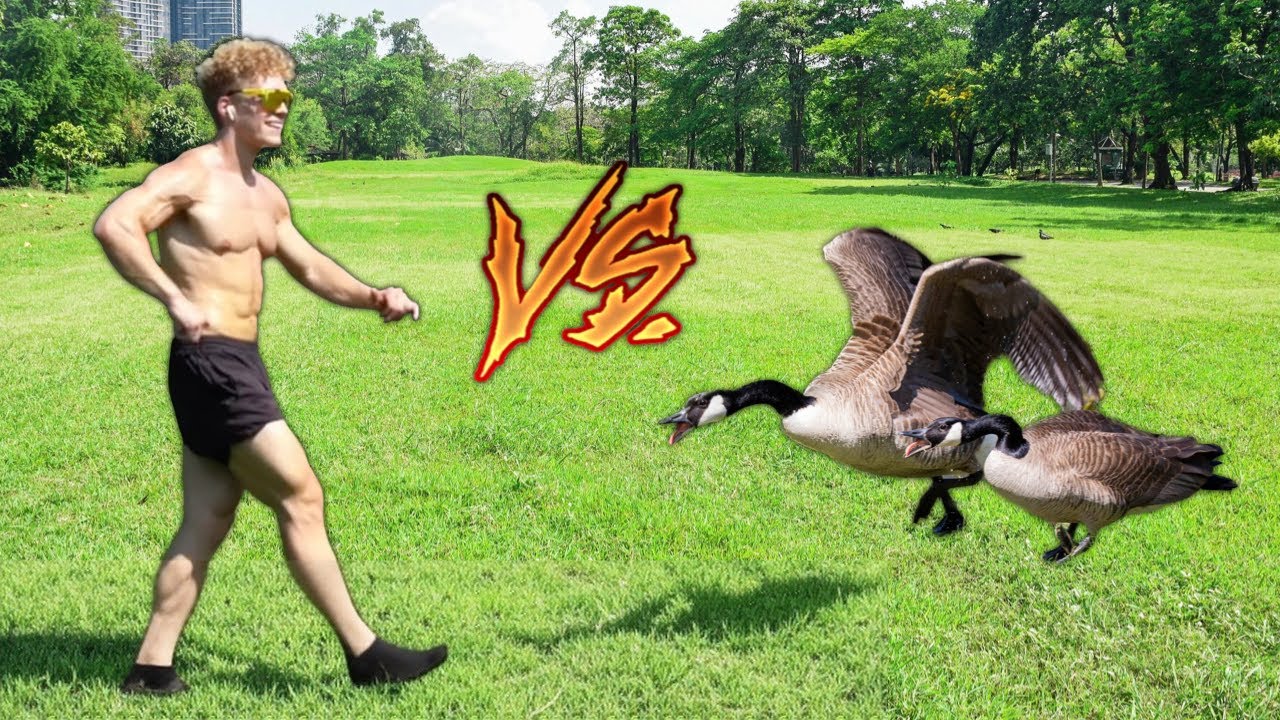 LUCAS TRACY vs. Animals (Compilation)