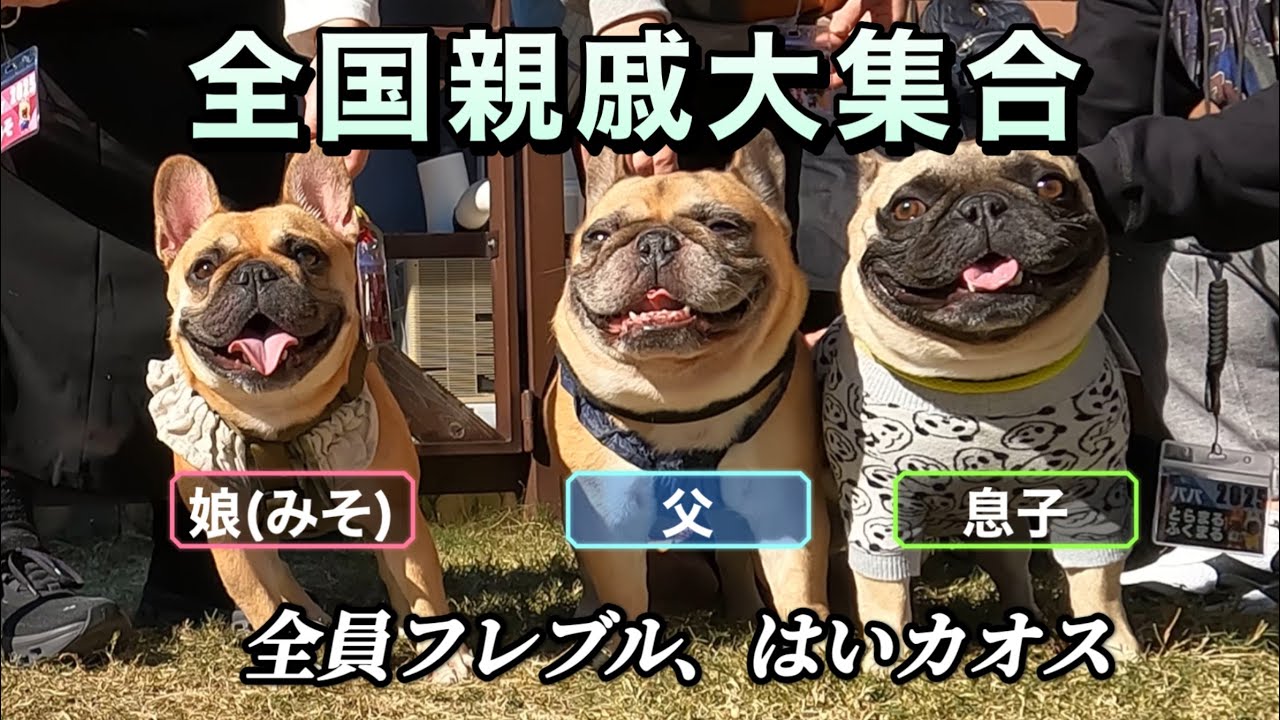 【フレブル】全国から親子と兄弟、70匹以上大集合した結果・・・【親戚大集合】