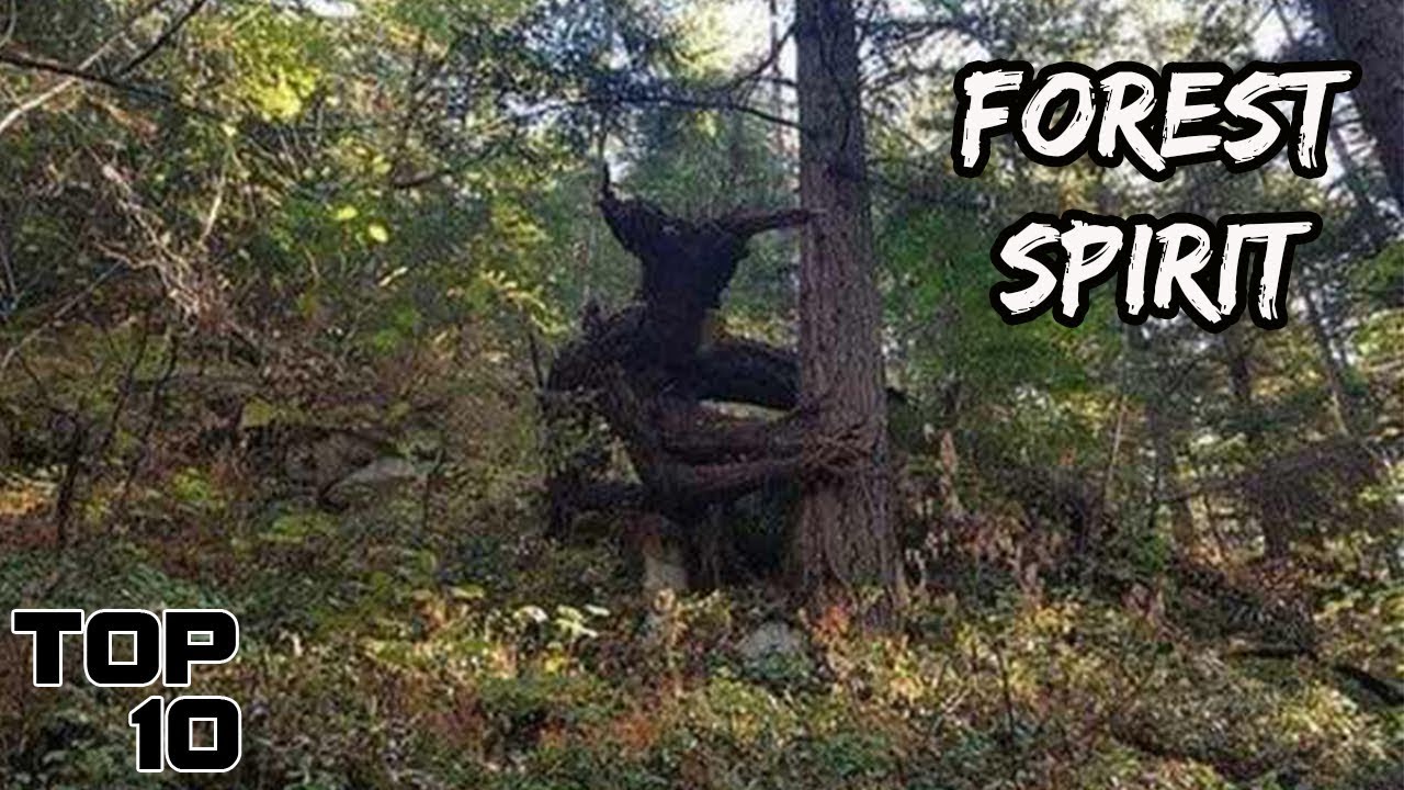 Top 10 Scary Creatures Seen In Forests