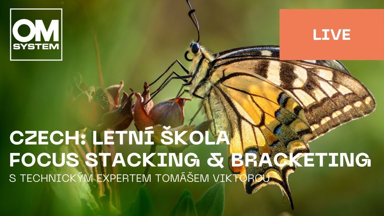 Czech | Letní škola fotografování: Skládané makro & fokus bracketing
