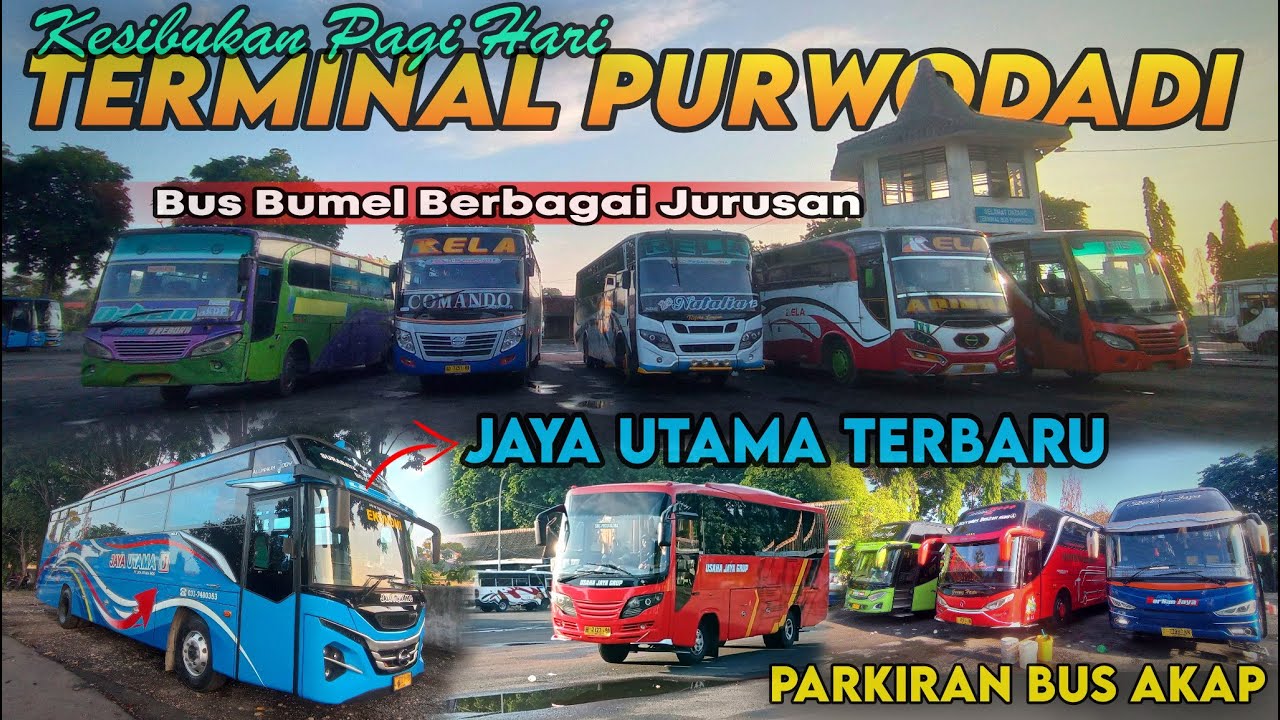 Kesibukan Pagi Hari di Terminal Purwodadi | Ada Bus Jaya Utama terbaru