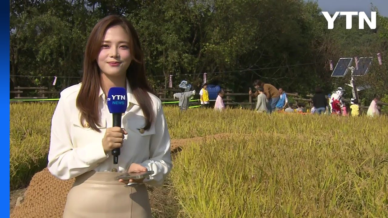 '2천 명분 가마솥 밥 짓기'...이천쌀문화축제 개막 / YTN