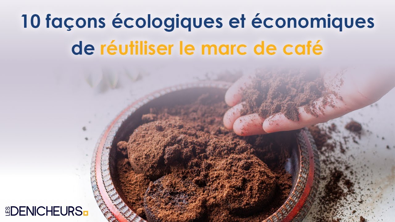🌱​10 fa&ccedil;ons &eacute;cologiques et &eacute;conomiques de r&eacute;utiliser le marc de caf&eacute; ☕