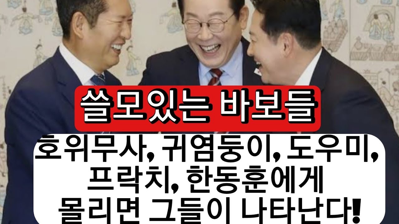 민주당이 보는 장동혁 극우파의 이용가치!
