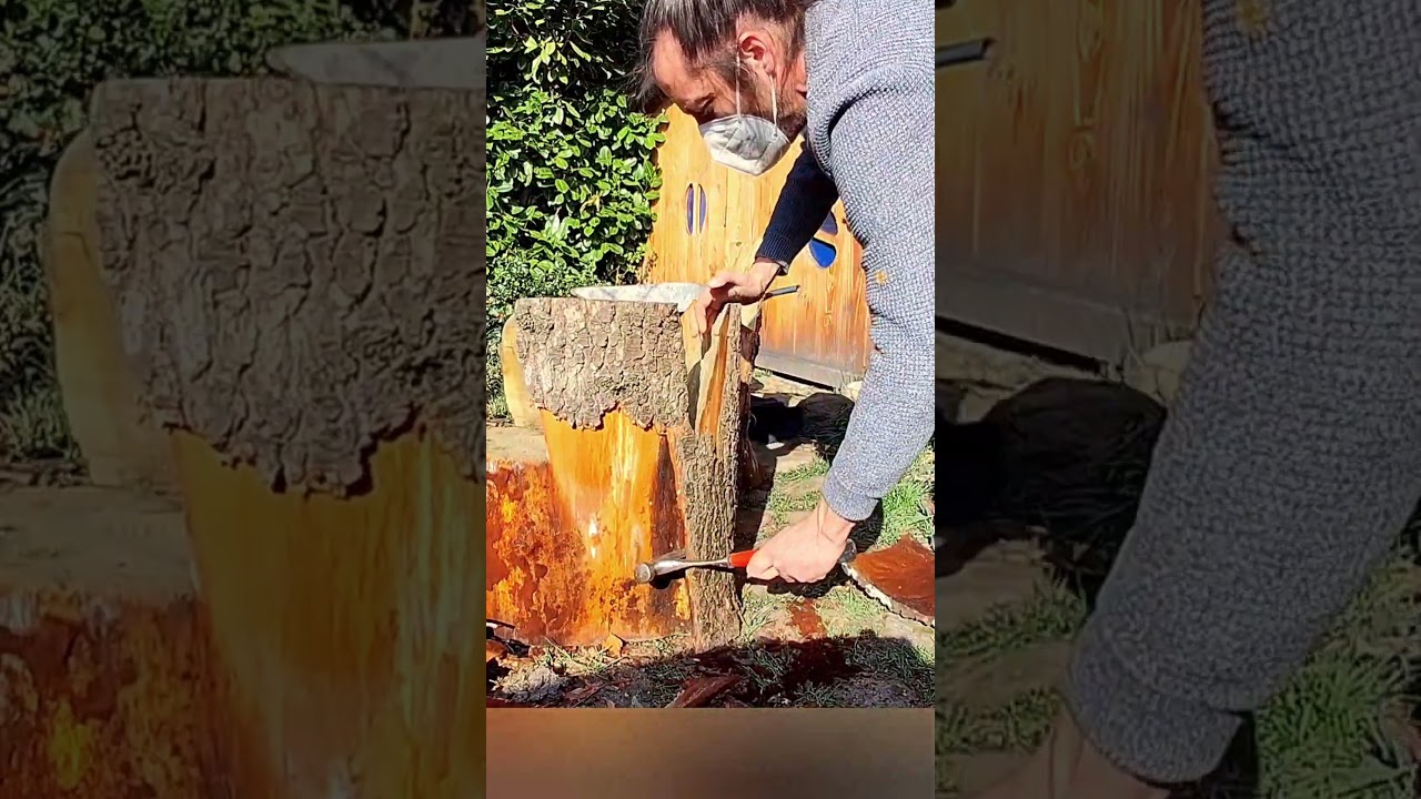 &eacute;corce de c&egrave;dre, woodworking avec des arbres